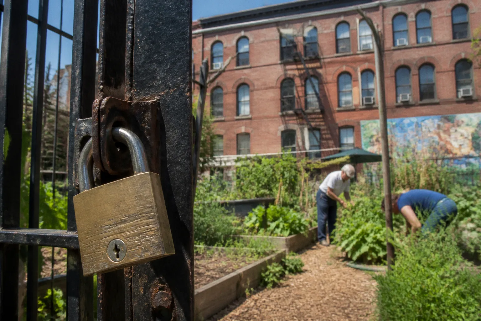 NYC Nonprofit Lobbying: Compliance Traps to Avoid